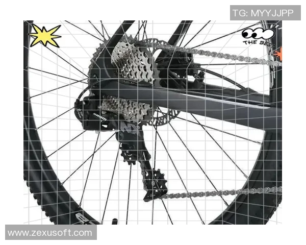 上海羽毛球队防守革新之路探秘与战术解析 上海羽毛球队防守革新之路探秘与战术解析