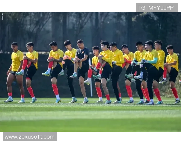 北京羽毛球队整体压制革新之路探索与未来展望 北京羽毛球队整体压制革新之路探索与未来展望