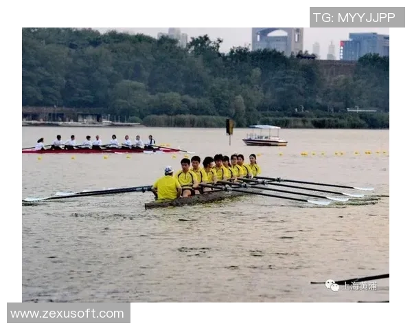 成都排球队展现卓越团队协作精神助力大满贯赛事精彩表现